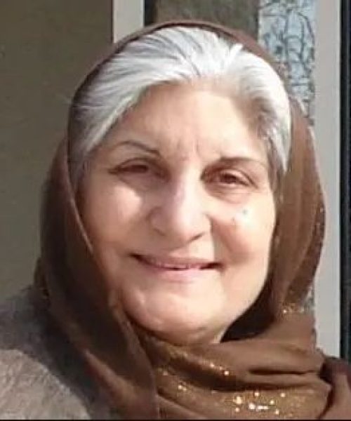 نوش آفرین انصاری