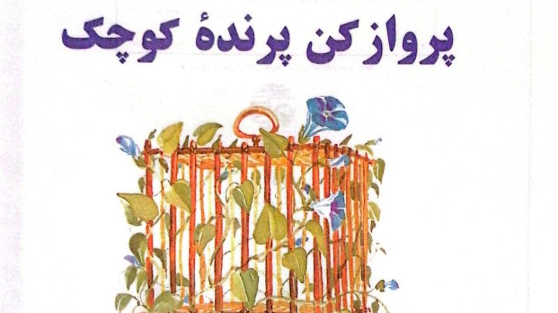 طرح درس و کاربرگ کتاب «پرواز کن، پرنده‌ی کوچک»